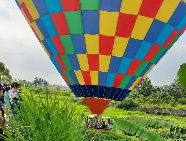 khinh khi cau cho 9 nguoi dap xuong ruong lua o ha noi hinh anh 1