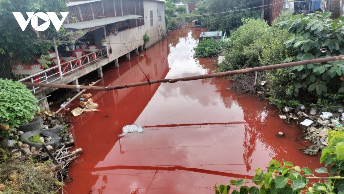 nuoc kenh nang Am o ca mau do bat thuong la do nguoi dan rua thung son hinh anh 1