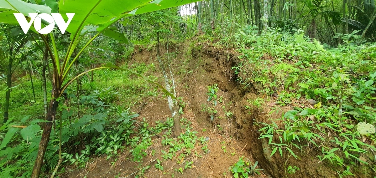 thanh hoa tap trung ung pho bao so 2 va mua lu hinh anh 3