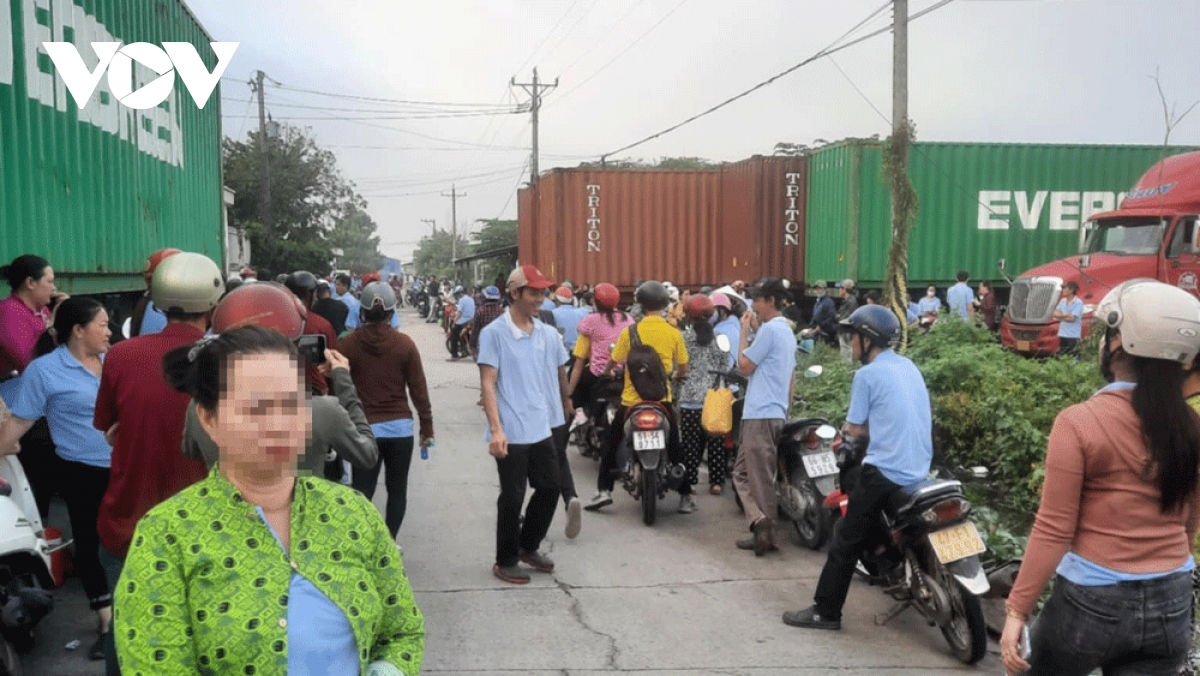 li do hang tram cong nhan cong ty san xuat noi that go o binh duong ngung viec hinh anh 1