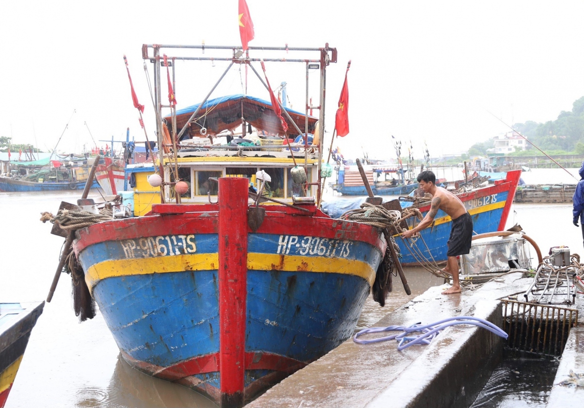 hai phong khong chu quan, lo la, tap trung cao do phong chong bao so 2 hinh anh 2