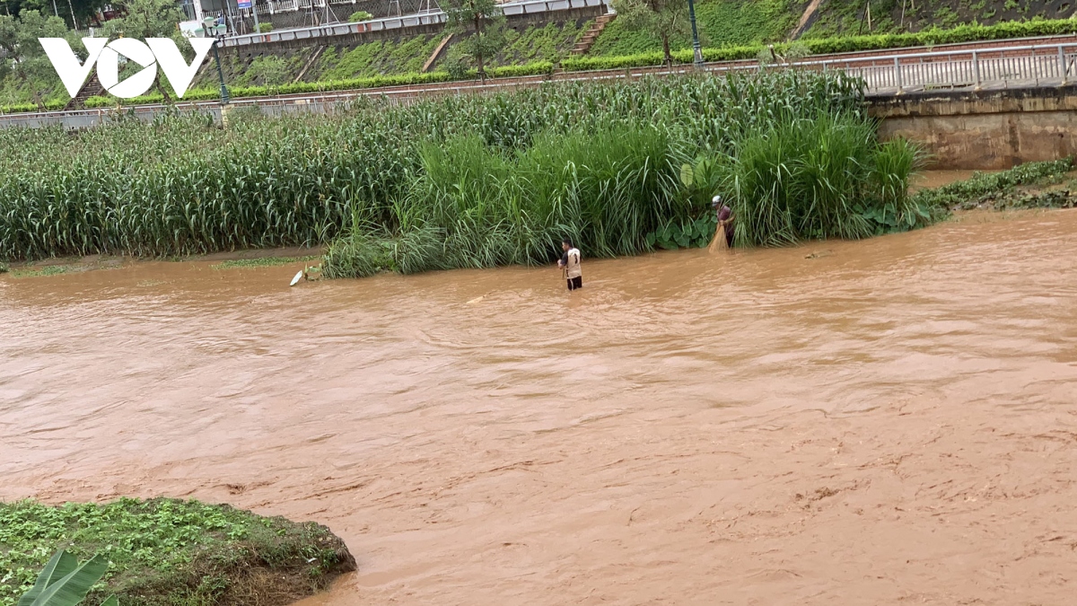 mua lu gay thiet hai nang ne ve nguoi va tai san tai son la hinh anh 6