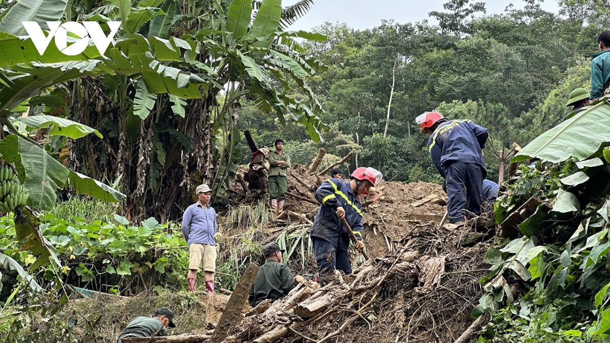 chum anh vuot lu bang rung, den voi nguoi dan vung lu hinh anh 10