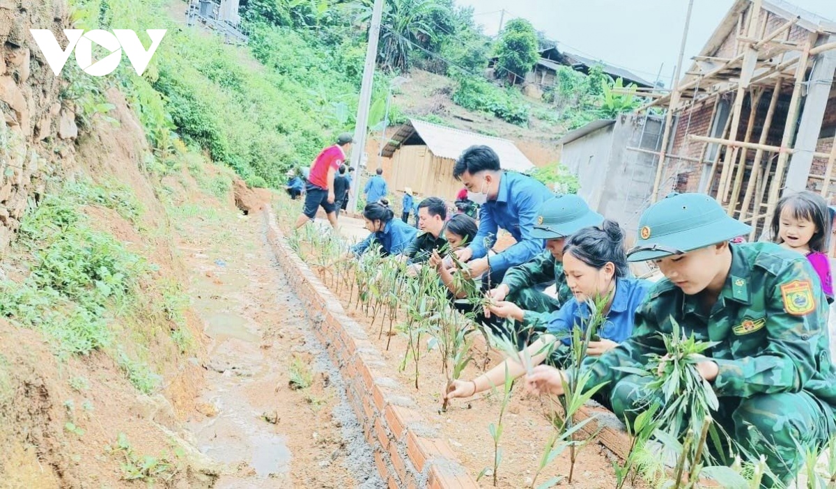 mau xanh yen binh giua dai ngan xu thanh hinh anh 1