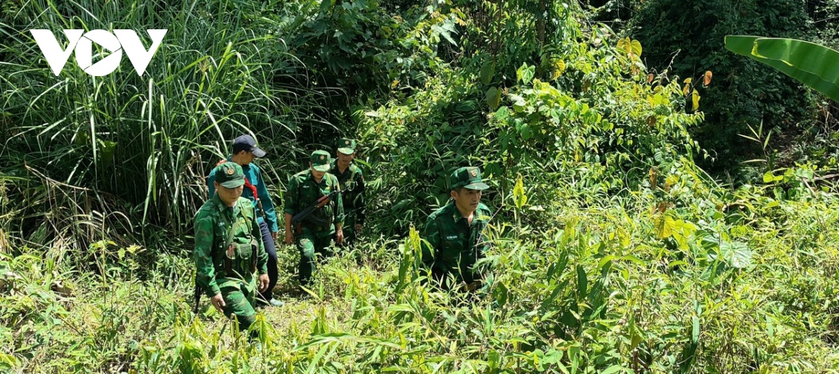 mau xanh yen binh giua dai ngan xu thanh hinh anh 12