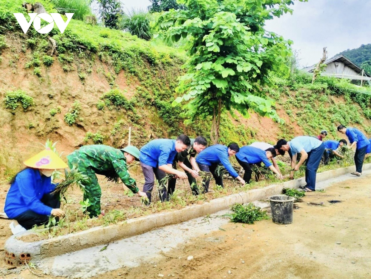 mau xanh yen binh giua dai ngan xu thanh hinh anh 3