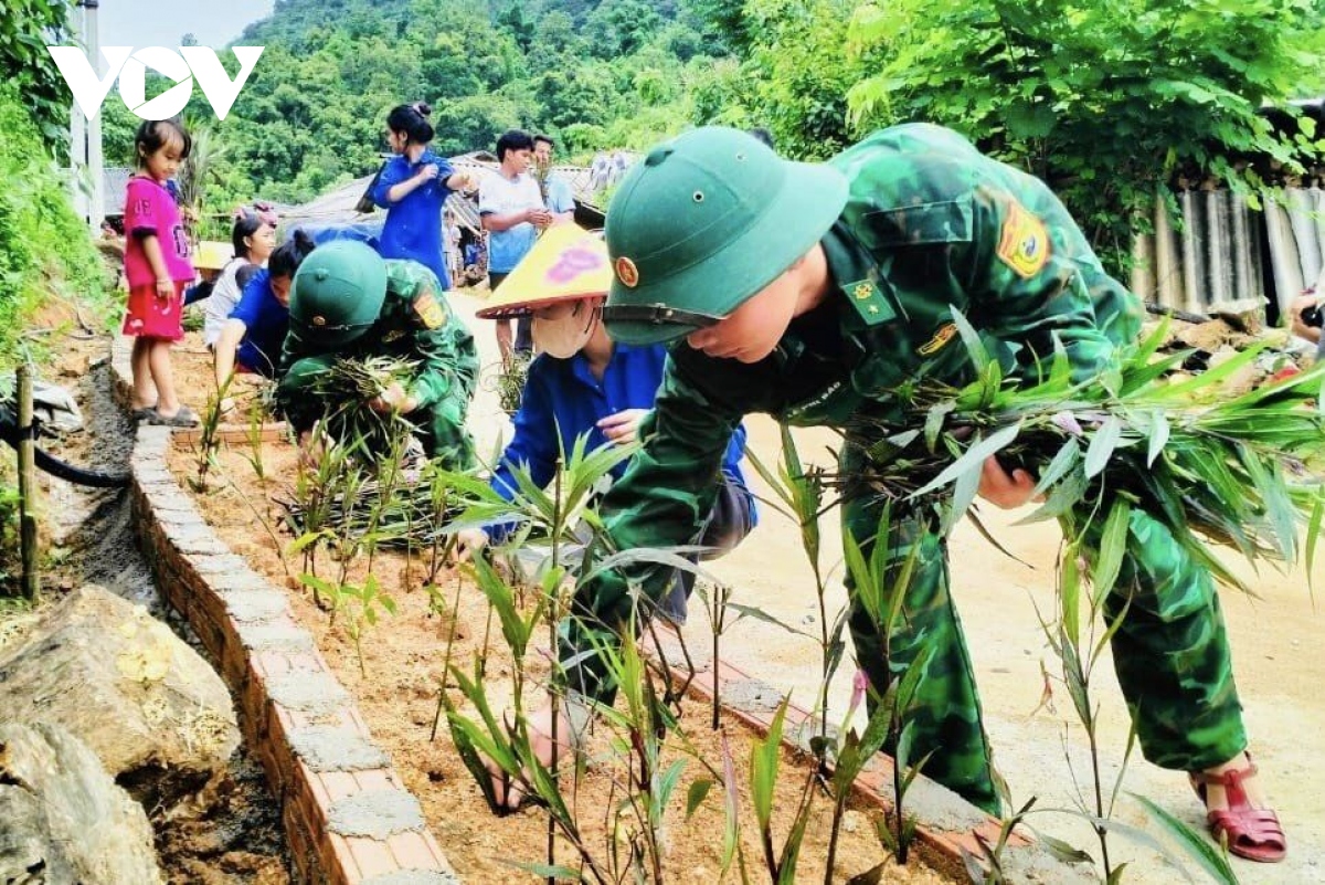 mau xanh yen binh giua dai ngan xu thanh hinh anh 4