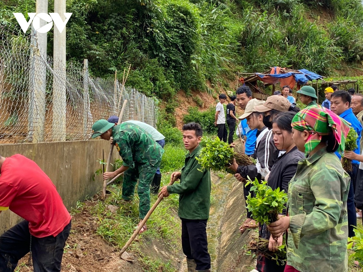 mau xanh yen binh giua dai ngan xu thanh hinh anh 8