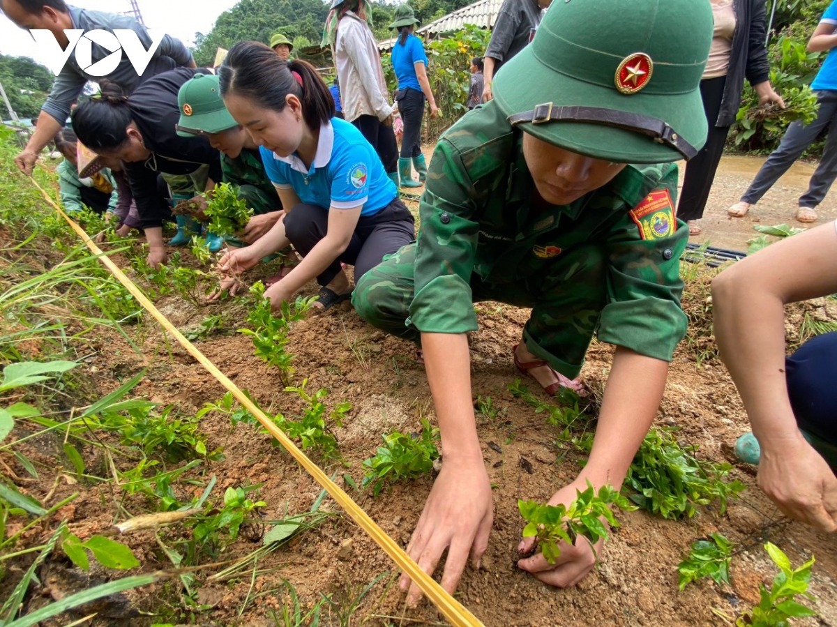 mau xanh yen binh giua dai ngan xu thanh hinh anh 9