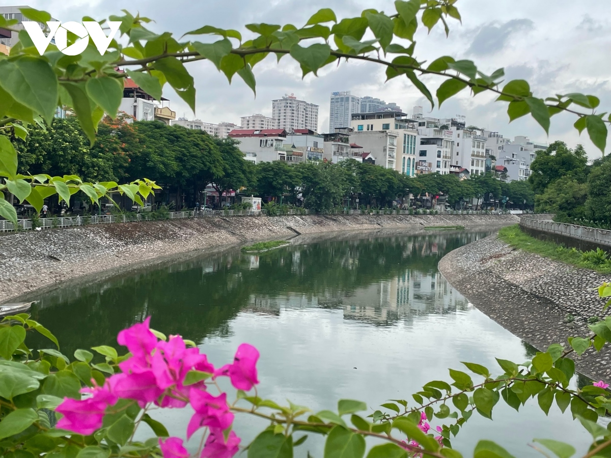 nguoi ha noi ngo ngang khi nuoc song to lich chuyen mau xanh hinh anh 1