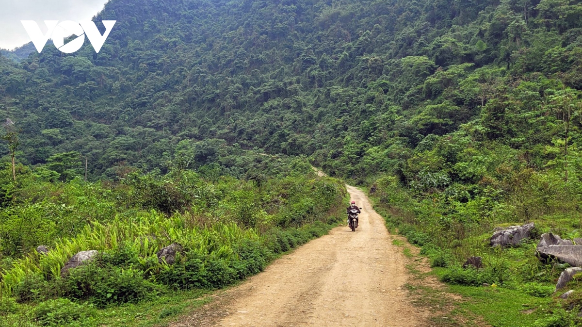 tao sinh ke de giai bai toan on dinh cu dan hinh anh 3