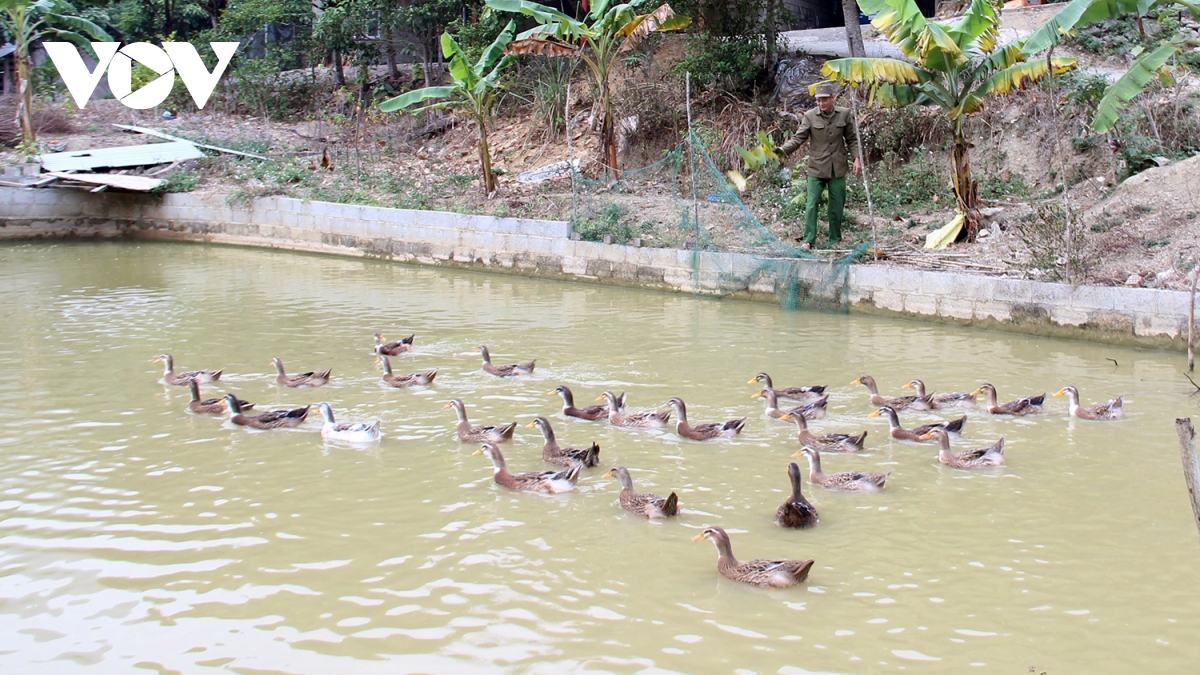 tao sinh ke de giai bai toan on dinh cu dan hinh anh 7